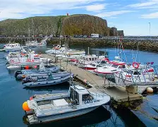 霍尔米力保不败战绩，临危受命